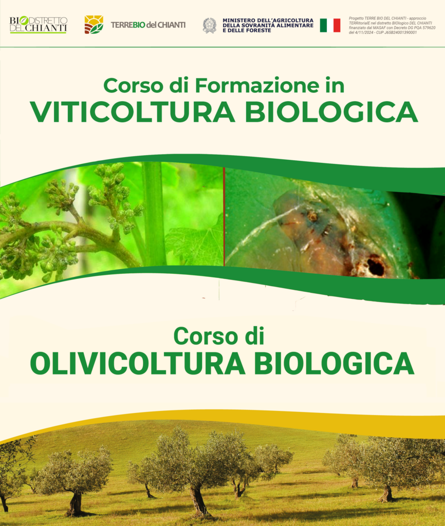 Materiali da consultare